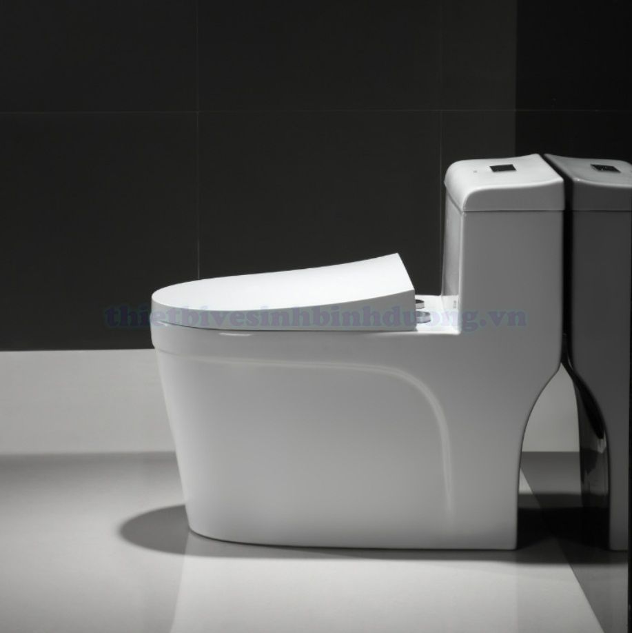 Bồn cầu Canary CA-C03